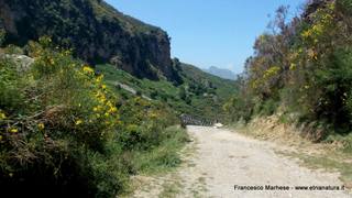 scate del Catafurco-17-06-2015 17-09-16